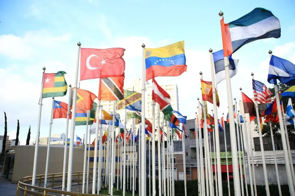 field with national state flags 15965251